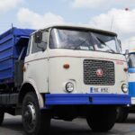 Liaz-5