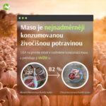 MASO-PENIZE-1