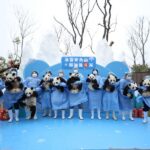 CHINA-SICHUAN-GIANT PANDA CUBS (CN)