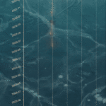 2024030522485416612