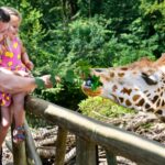 Krmeni-ziraf-_-Zoo-Zlin-3-1