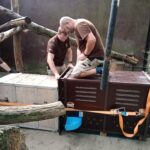Nastup_levharta-do-transportni_bedny-1