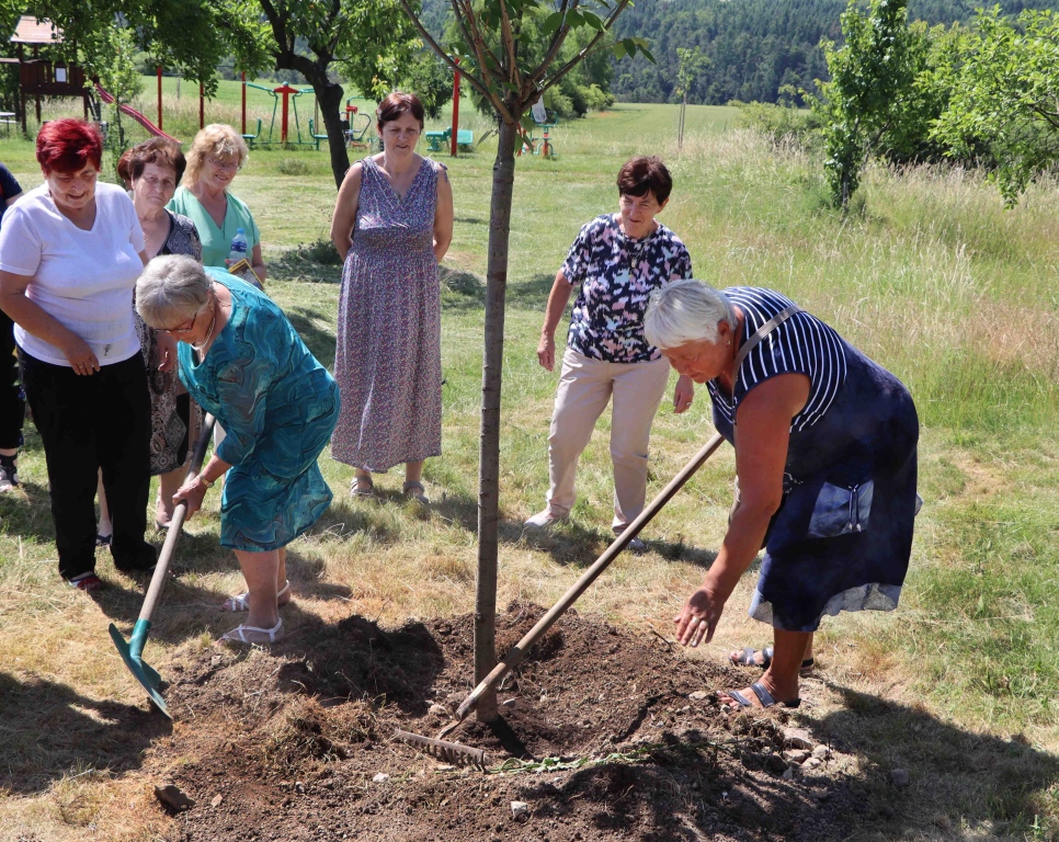 V Hudlicích byl zasazen Strom míru